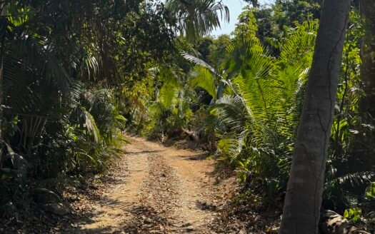 Land for Sale – Nature, Security, and Location Just Minutes from the Beach 