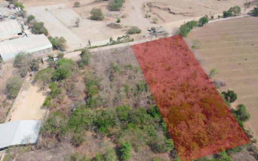 Investment Land for Sale – Very Close to Vidanta World – 7,544 m²