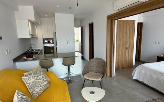 Long-Term Rental | 1-Bedroom Apartment in Fluvial Puerto Vallarta