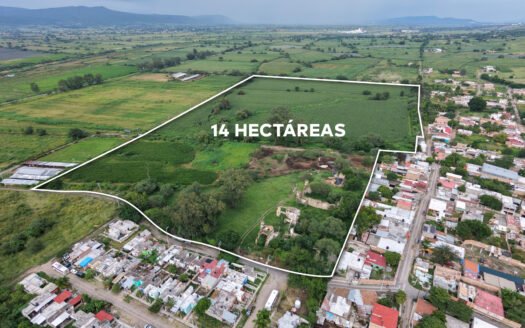 14.46-Hectare Land for Sale in San Jacinto, Poncitlán, Jalisco | Ideal for Development & Investment
