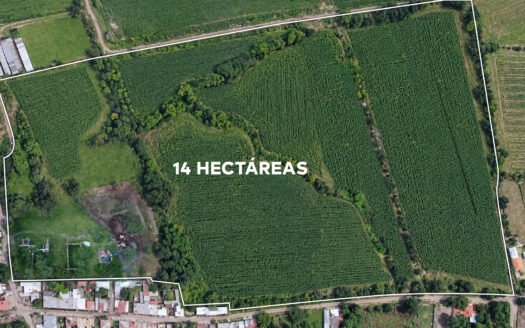 14.46-Hectare Land for Sale in San Jacinto, Poncitlán, Jalisco | Ideal for Development & Investment