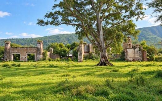 14.46-Hectare Land for Sale in San Jacinto, Poncitlán, Jalisco | Ideal for Development & Investment